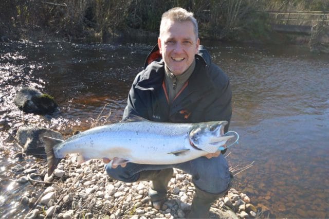 spring salmon