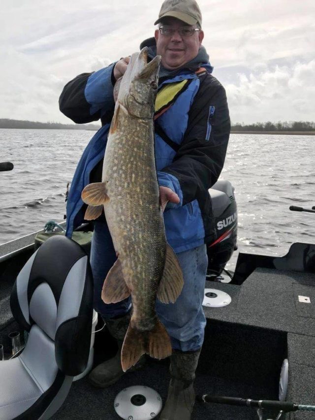 pike