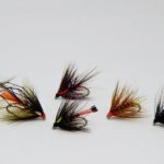 Paul Caslin flies