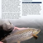 sheelin angling guide two