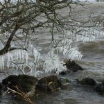 turbulence and ice