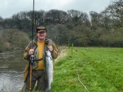 Spring salmon