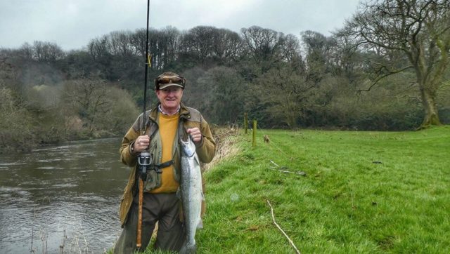 Spring salmon