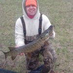 Pike