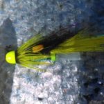salmon fly