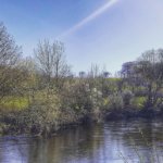 The River Bandon