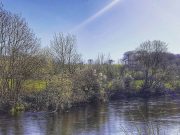 One salmon reported from the Bandon last week The River Bandon