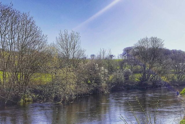 The River Bandon