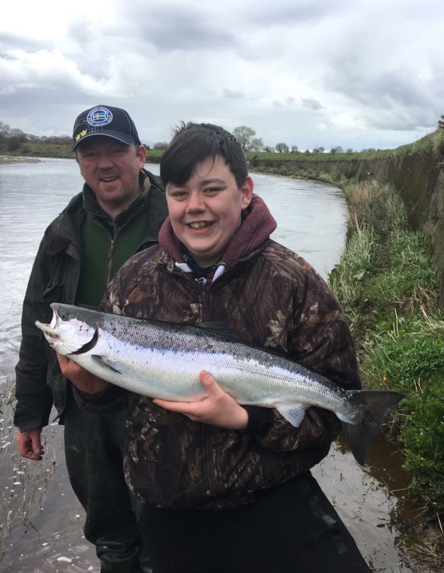 Spring salmon