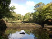 A few salmon caught by French anglers on Kerry Blackwater Kerry Blackwater