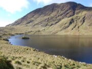 Irish Angling Update – 19 March 2021 Barfinnihy