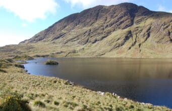 Irish Angling Update β 19 March 2021 Barfinnihy