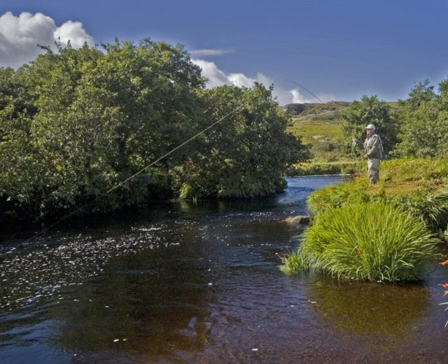 Angler fishing the river with rod bent and playing a fish