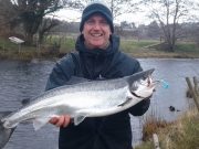 Drowes continues to fish well for springers Michael Kruse with a lovely 11.5lbs salmon