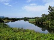Did you apply for a River Roughty brown tag? Round 3 Draw results here Stretch below Roughty Bridge