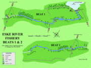 Irish Angling Update 08 June 2018