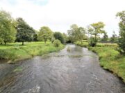 Where the Suir Waters Flow – how Golden fishing pools got their names The River Suir at Golden