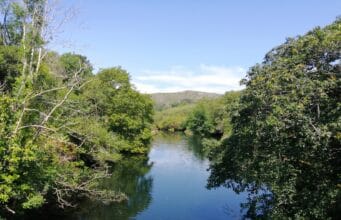 The tide pushing up on the Coomhola River in July 2021