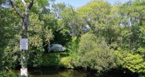 The Coomhola River in Cork downstream of Coomhola