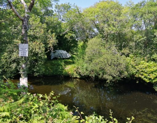 The Coomhola River in Cork downstream of Coomhola