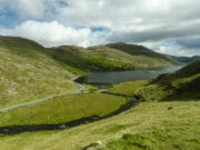 Irish Angling Update 20 November 2020