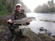 A few fish on the Laune after long quiet spell Spring salmon