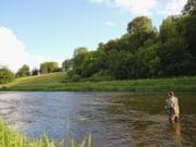 Swinging wets for trout on the Nore