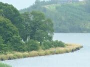 Lough Muckno Festivals Group presents its 2023ย calendar of events. Match on Lough Muckno, Monaghan