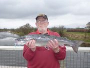 19 salmon reported on Moy despite poor conditions salmon