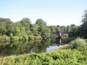 Water levels up and salmon showing on Roughty, Maine, Laune and lake Roughty Bridge, Co. Kerry
