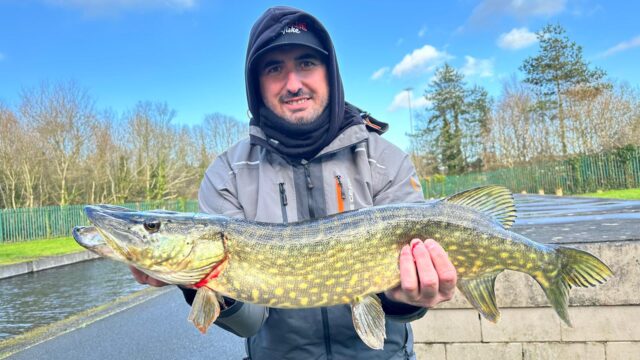 Royal canal pike - Zac Selman