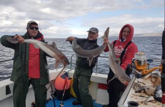 Irish Angling Update – 6 April 2018 A treble shot of specimens! Owen Trill, Paddy O'Farrell and Stuart Regan had a triple hook-up and this was the result!