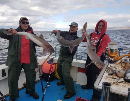 Irish Angling Update – 6 April 2018 A treble shot of specimens! Owen Trill, Paddy O'Farrell and Stuart Regan had a triple hook-up and this was the result!