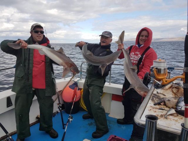 A treble shot of specimens! Owen Trill, Paddy O'Farrell and Stuart Regan had a triple hook-up and this was the result!