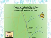 Specimens, Species & Sunburn in Wicklow