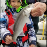 cork Harbour bass