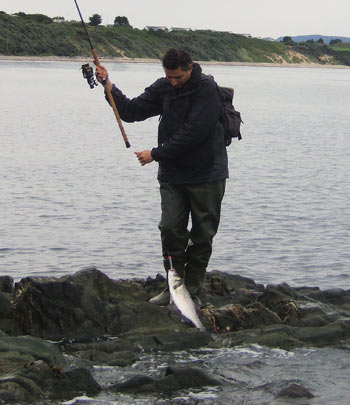 Bass Fishing Ireland's East and South East Region