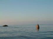 Moy Fishery Back In Action