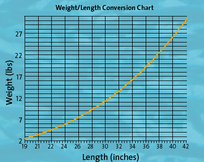 Weight / Length conversion chart for salmon