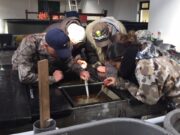 Want better fishery stewardship? Join the club stream sampling