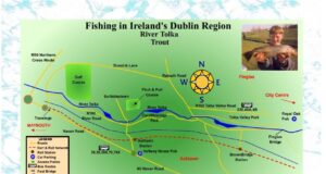 Trout fishing in Dublin