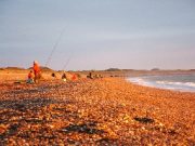 Galway finally sees the first salmon