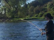 Peace and quiet on the Blackwater.