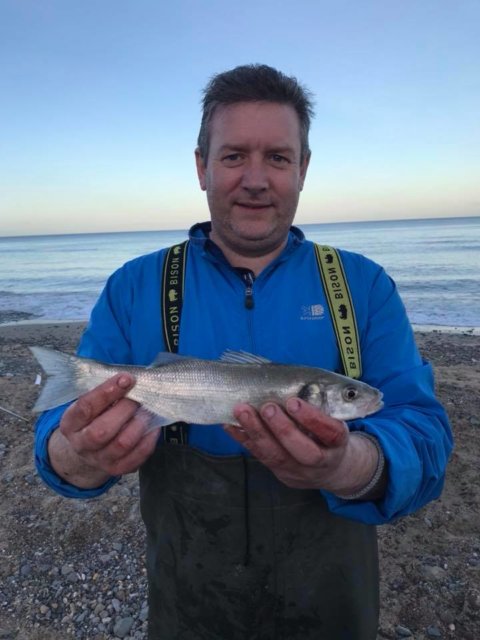 Bass