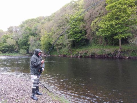 salmon fishing