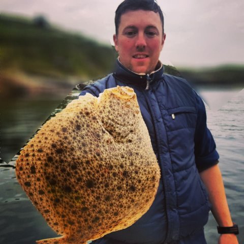 Turbot