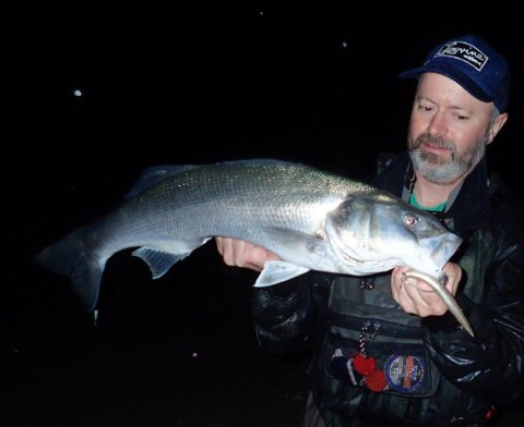 bass