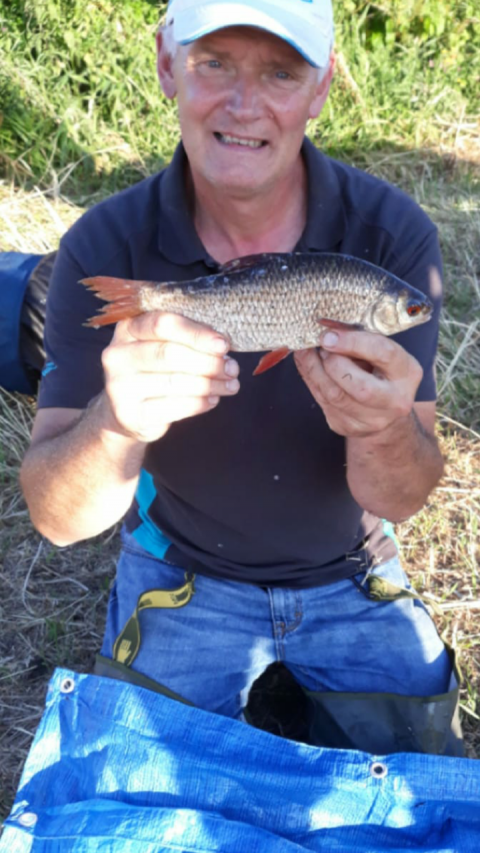 Gary Smyth had plenty of roach at banagher on the river shannon fished with maggots on either a trotting float or feeder
