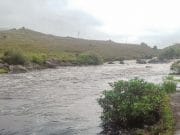 Erriff fishing well with 9 days left in season A big flood on Beat 8 after Storm Ali