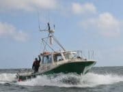 20 species for UKCS crew in Cork Harbour